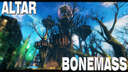 Bonemass and Druid's Tower Valheim Build
