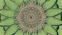 Mezmerizing Patterns