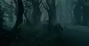 Dvergurstjorna Swamp